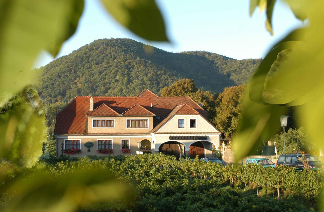 Weingut-Pension Stockingerhof 杜伦斯坦 外观 照片